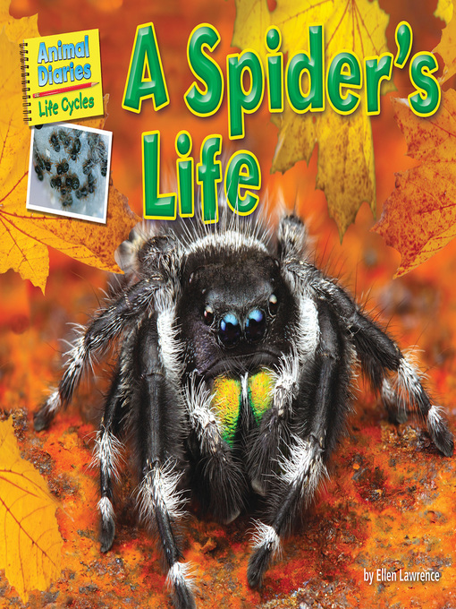 Title details for A Spider's Life by Ellen Lawrence - Available